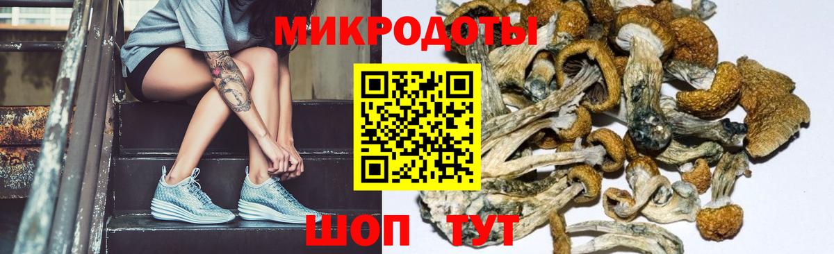 Галлюциногенные грибы GOLDEN TEACHER Карачаевск