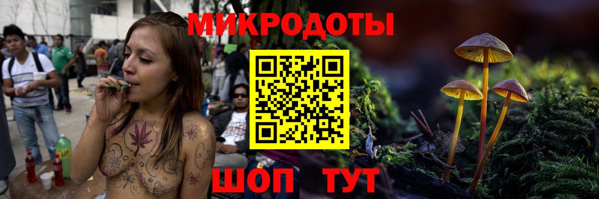 Карачаевск  Галлюциногенные грибы Cubensis  Вход с VPN 