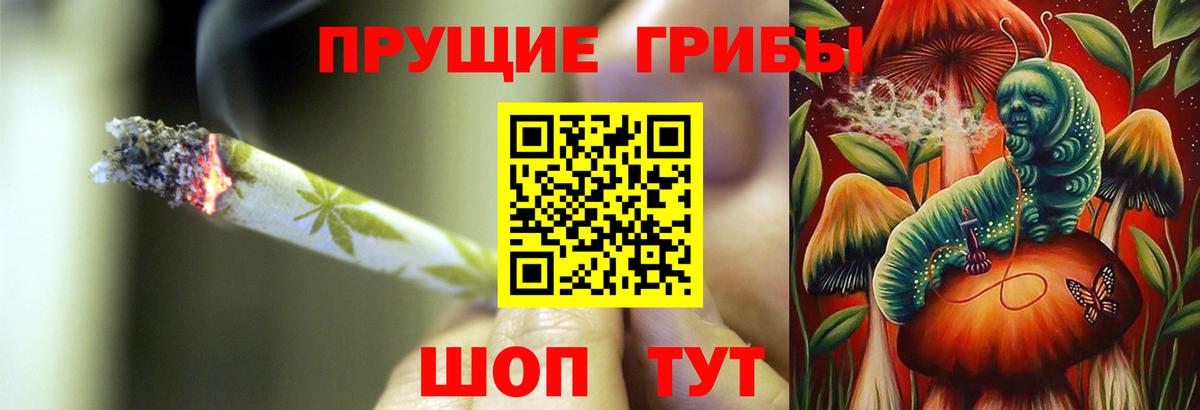 ГАШИШ Карачаевск